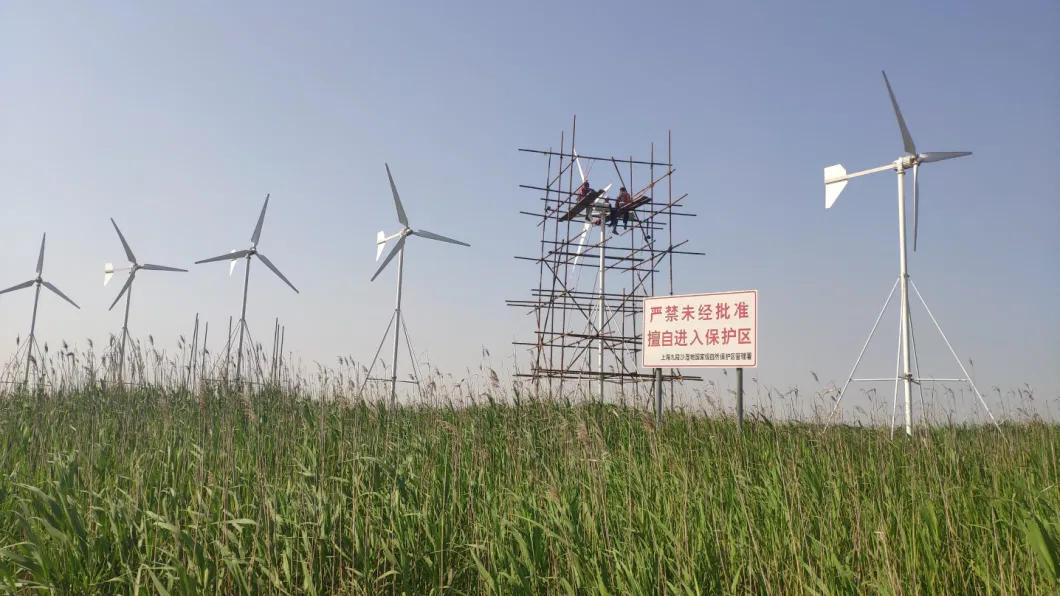 3000W Well Made Best Choise Hotsale Wind Turbine Wind Generator Manufacturer